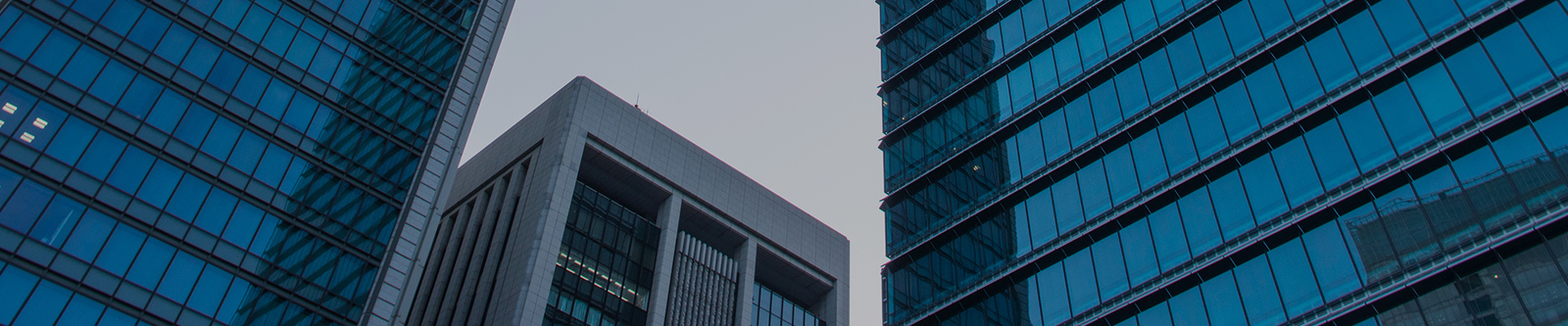 Çin Shenzhen Xiaohongbao Technology Co., Ltd. Şirket Profili 